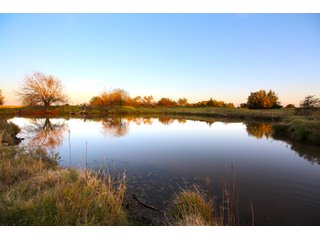Tract 1 - Pond on property in Garfield County, OK - LAND AUCTION - 160+/- ACRES OFFERED IN 2 TRACTS IN GARFIELD COUNTY, OKLAHOMA